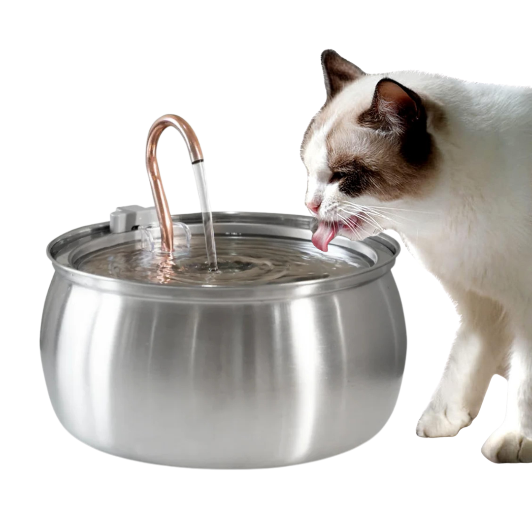 Fontaine pour chat